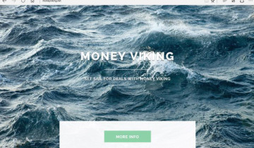 Поиск Money Viking Ads