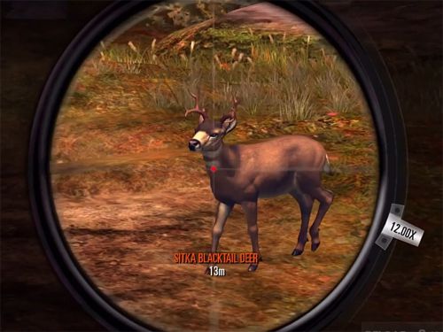 Прицел в Deer Hunter 2016