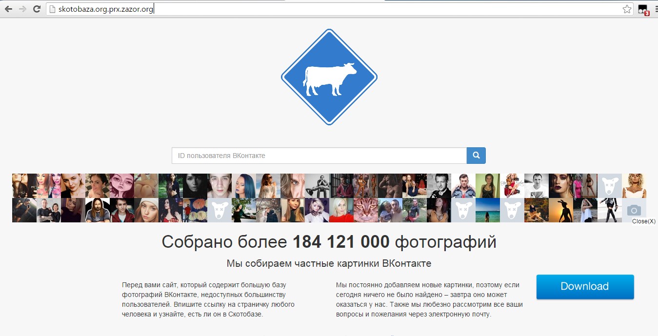 Leboard.ru и Скотобаза что это за сайты