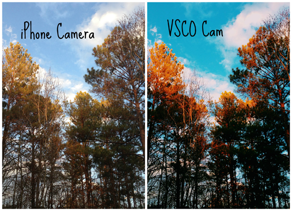 Сравнение фото с iPhone и VSCOcam 