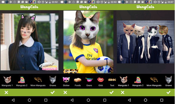 Wang Cats на Андроид